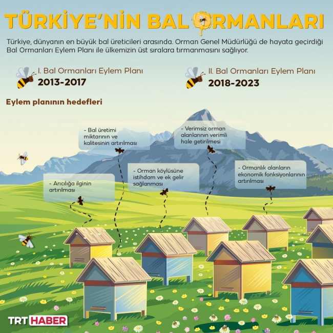 Grafik: TRT Haber / Hafize Yurt